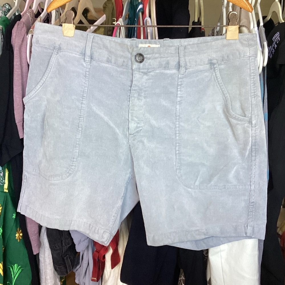 Marine Layer Light Gray Men's Flat-Front Shorts